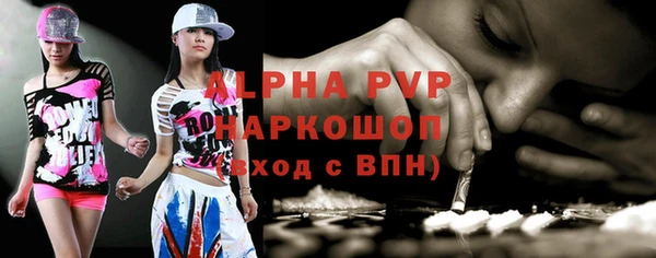 сатива Беломорск