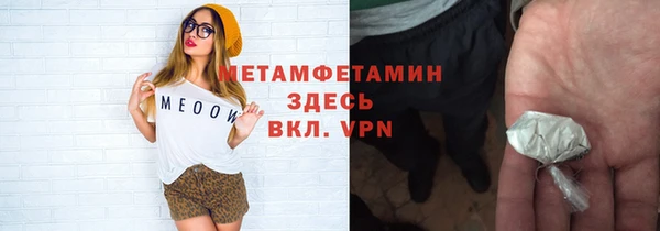 сатива Беломорск
