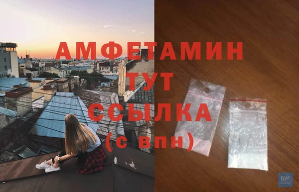 сатива Беломорск