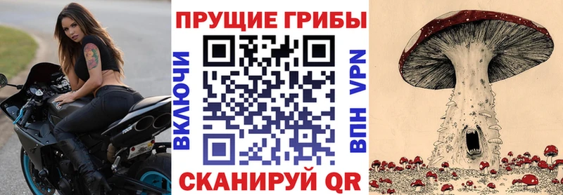 где купить наркоту  Чегем  Галлюциногенные грибы мицелий 