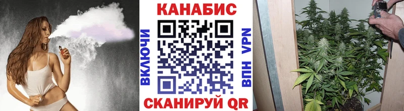 МАРИХУАНА сатива  omg ссылка  Чегем  закладки 